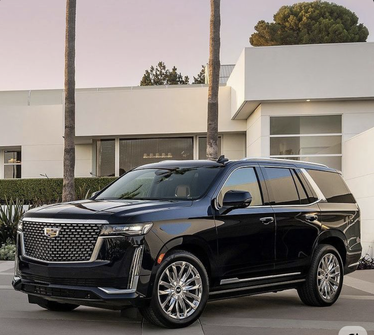 Synergy Lux Escalade interior